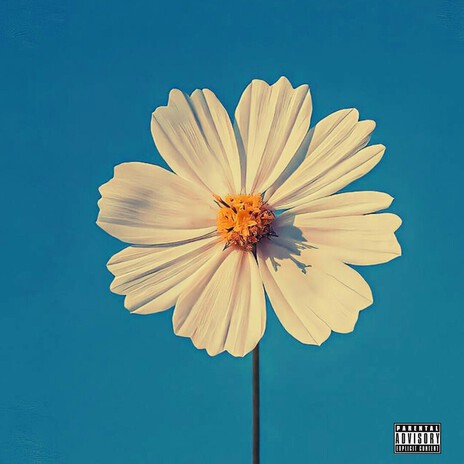 No Disguise cover art