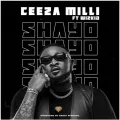 Shayo ft. Wizkid
