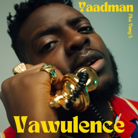 Vawulence cover art