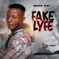 Fake Lyfe