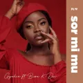 Sor Mi Mu (ft. Bisa Kdei)
