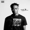 Too Correct ft. Rema