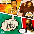Bum Bum (Remix) ft. Admiral T & Lady Leshurr