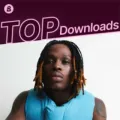 Top Downloads