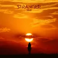 Stranger