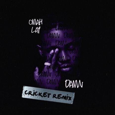 Damn (Cricket Remix) cover art