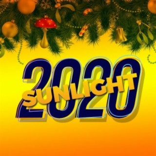 2020 Sunlight
