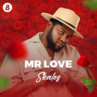 Mr Love by Skales