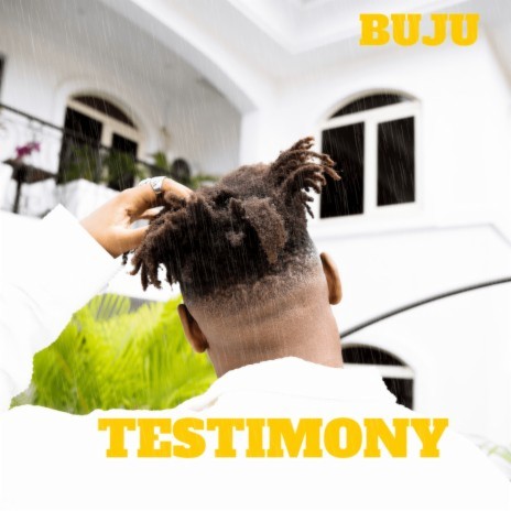 Testimony cover art