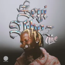 Focus: Seyi Vibez