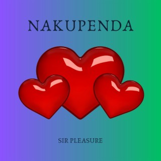 Sir Pleasure