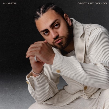Can't Let You Go cover art
