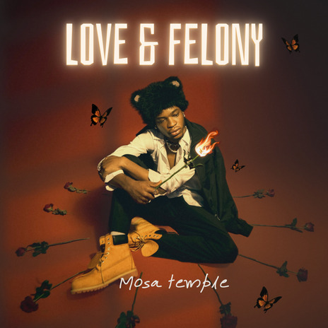 Love & Felony