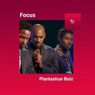Focus: Plantashun Boiz