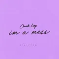 i'm a mess (stripped version)