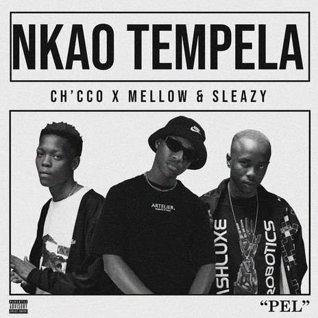 Nkao Tempela ft. Mellow & Sleazy cover art