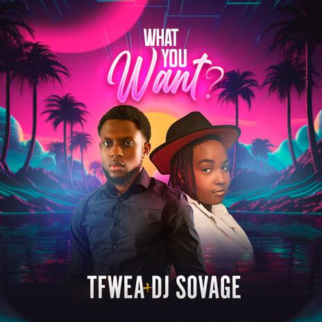What You Want? ft. Dj Sovage cover art