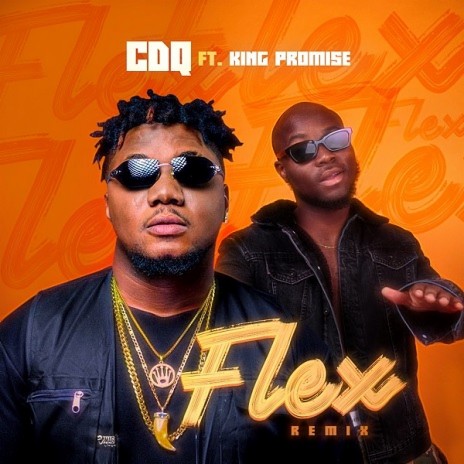 Flex (Remix) ft. King Promise cover art