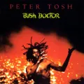 Bush Doctor (2002 Remaster)
