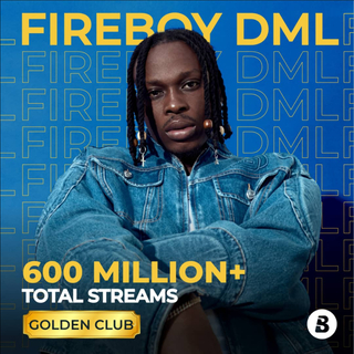 Focus: Fireboy DML