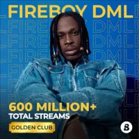 Focus: Fireboy DML