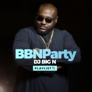 BBNaija S5 - Party: DJ Big N