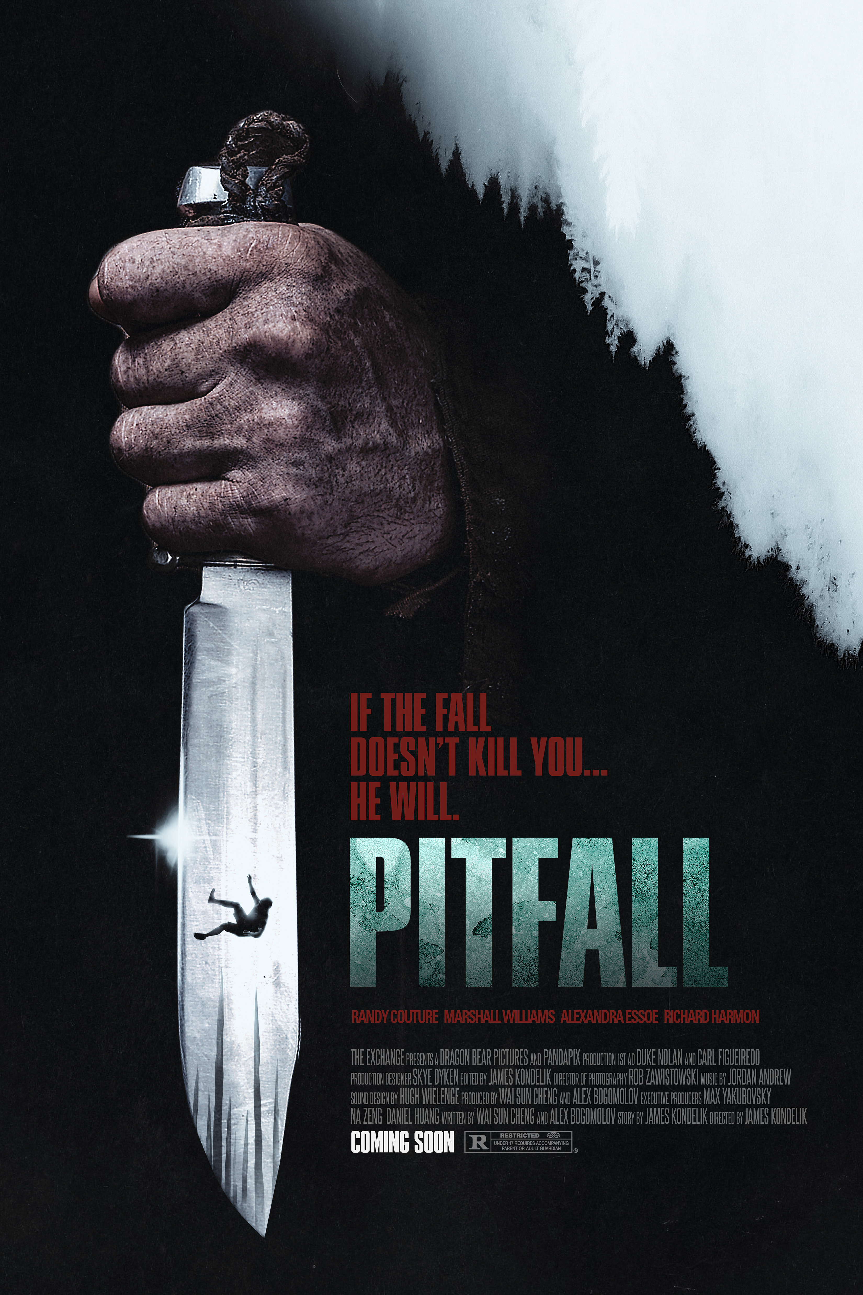 Pitfall[CAM]