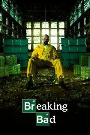 Breaking Bad [Hindi] poster