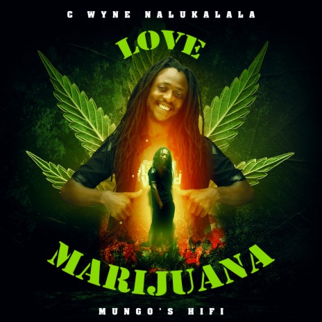 Love Marijuana ft. Mungo's Hi Fi cover art