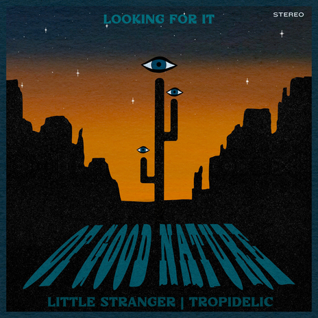 Looking For It (Light Up Remix) ft. Little Stranger & Tropidelic cover art