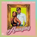 Amazing ft. Stefflon Don & Dunw3ll