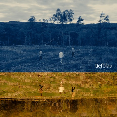 fort. cover art