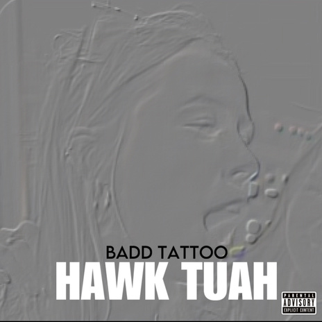 Hawk Tuah cover art