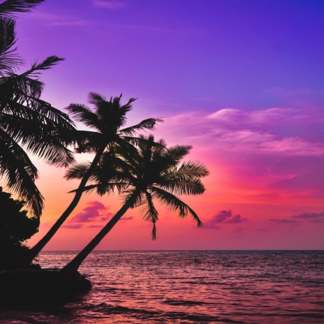 Beach Sunset