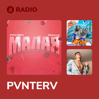 PVNTERV Radio
