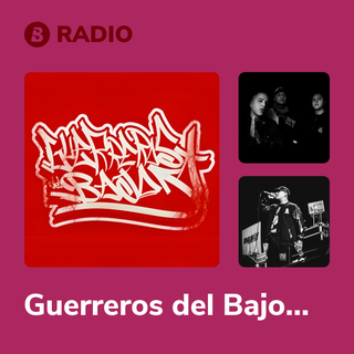 Guerreros del Bajo Radio