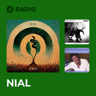 NIAL Radio