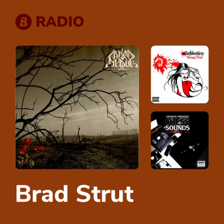 Brad Strut Radio