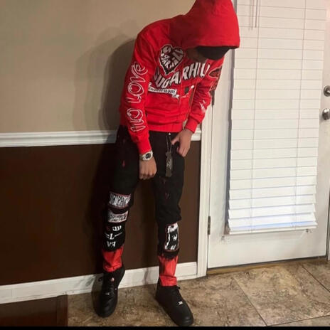 Zooted cover art