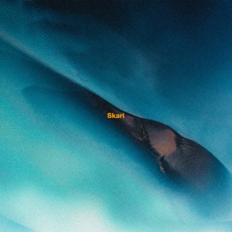 Skari