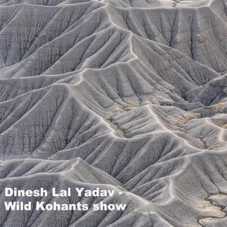 Wild Kohants show cover art