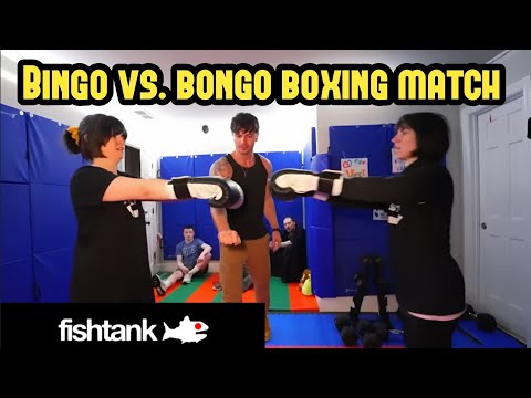 Bingo Vs. Bongo Boxing Match - Fishtank Live Season 5 Day 14