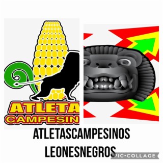 GrandesExitosAboriginalReggae