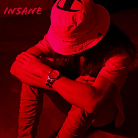INSANE cover art