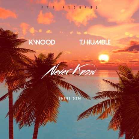 Never Know ft. TJ Humble cover art