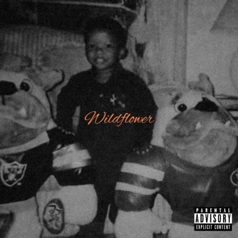 Wildflower cover art