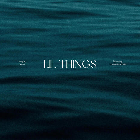 Lil Things ft. Young Wisdom cover art