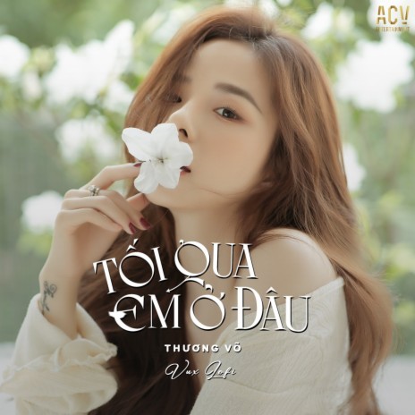 Tối Qua Em Ở Đâu (VUX Lofi) ft. ACV cover art