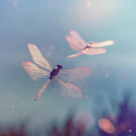 Flying Apart ft. LOKY cover art