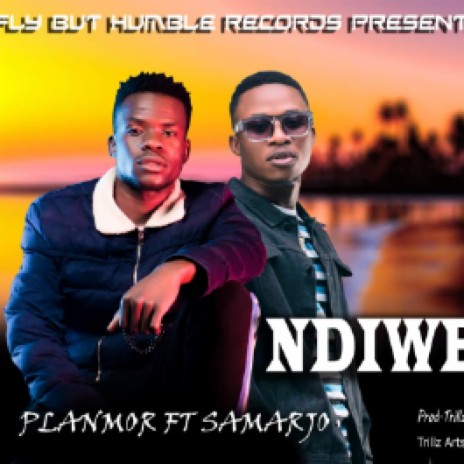 NDIWE cover art
